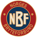 NB logo des